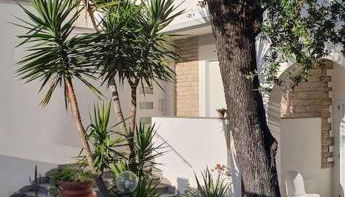 Lecci al Mare - Foto 1