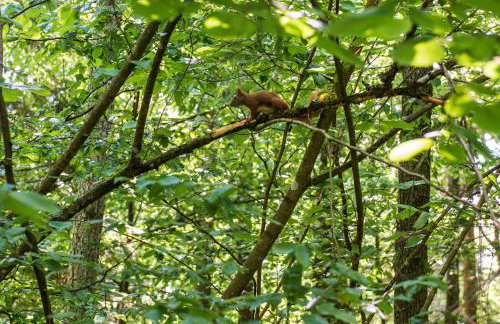 Agroturystyka u Wojtka - Foto 31