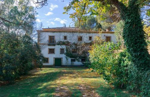 La Higuerilla - Photo 4