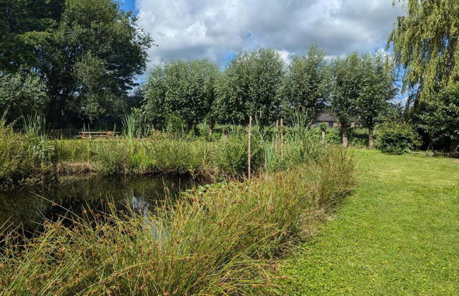 Relaxing Woodland Retreat - Foto 31