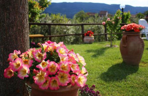 Casa relax e vacanza Il Moraiolo - Foto 22