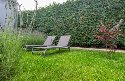 The Jolie - A Retreat in the City in an Entire House - Foto 9