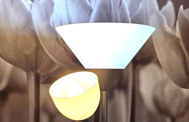 Casa Olivazzo - Foto 8