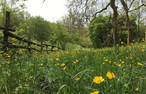 Agriturismo La Casina della Burraia - Foto 35