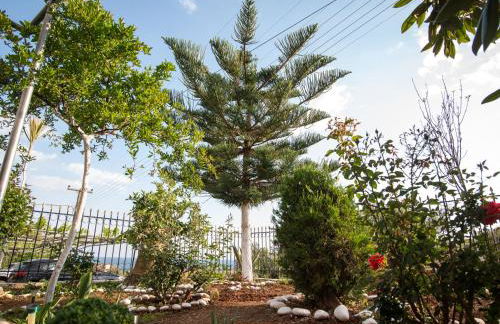 Paradeisos - Foto 39