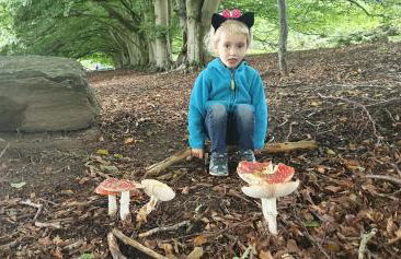 Apartment Kliemkiker, Nähe Binz in traumhafter Alleinlage - Foto 33