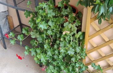 Casa Patron - Grande casa immersa nella natura della Valchiusella, vista montagna, perfetta per famiglie e gruppi a 1 ora da Torino - Foto 74