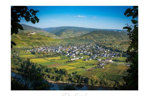 Ferienweingut Lütz - Foto 15