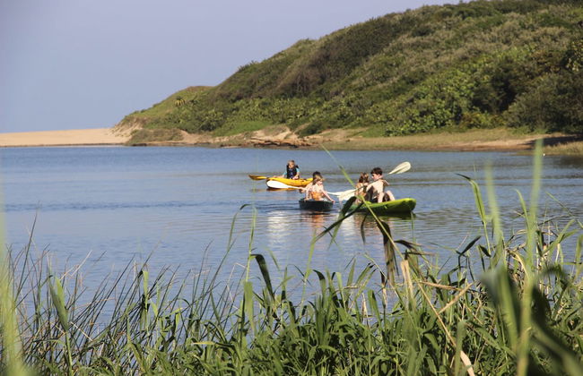 Apartments on The Eighteenth - Photo 49