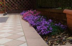 nido di dafne - Foto 39