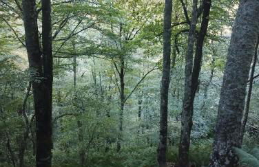 Quirós Villa Tranquila de Salcedo 2 - Foto 22