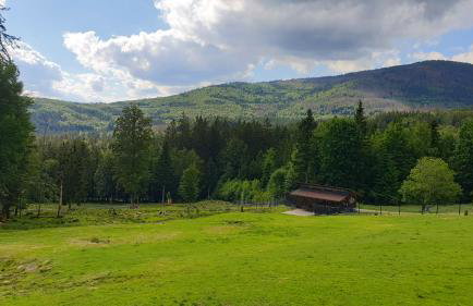 Haus Bergblick - Foto 76