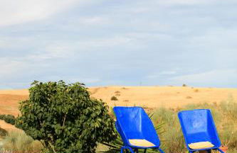 Cortijo Nuevo Alojamiento Rural - Foto 10