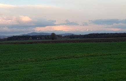 Badischer Neubau-Ruhe-Kunst-Natur - Foto 78