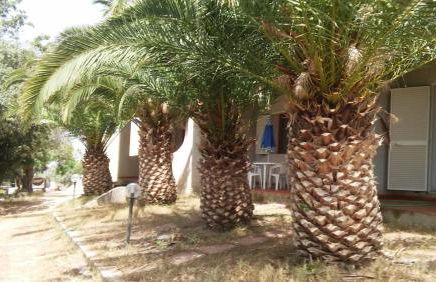 Villa del Palmeto - Foto 6