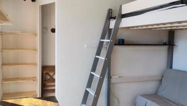 Un Isard au Pied des Pistes - Photo 4