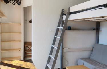 Un Isard au Pied des Pistes - Foto 4