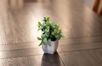 Kipps Hill Haven B — Folsom Lake Escape - Foto 21