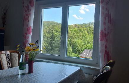 Ferienwohnung Erzgebirgswohnung Götze - Foto 6