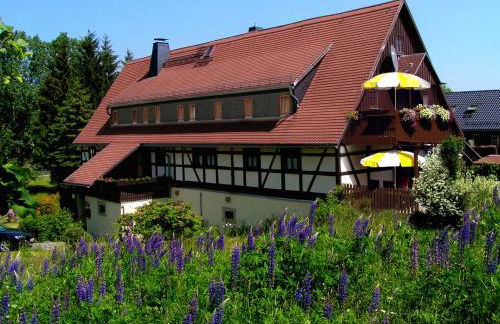 Landhaus Sorgenfrei - Foto 8