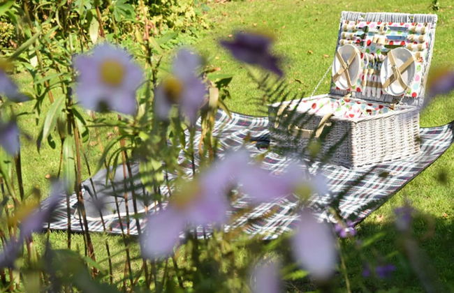 Cambrian House - Foto 31