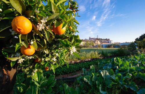 Casa Margarida Azul - Photo 15