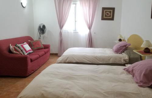 Casa Camino Tamadaba II (bottom home) - Foto 8