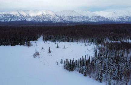 Hatcher Pass Lakeside Hideaway with Hot Tub! - Foto 9