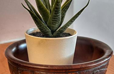 "Epidavros" Apartment of Levidi Arcadian Apartments - Foto 25