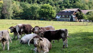 Gut Kallerbend - Foto 4