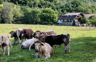 Gut Kallerbend - Foto 4