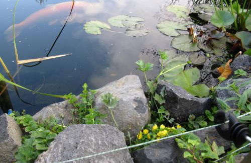 Fewo Schöne Aussicht am Wasserturm - Foto 13