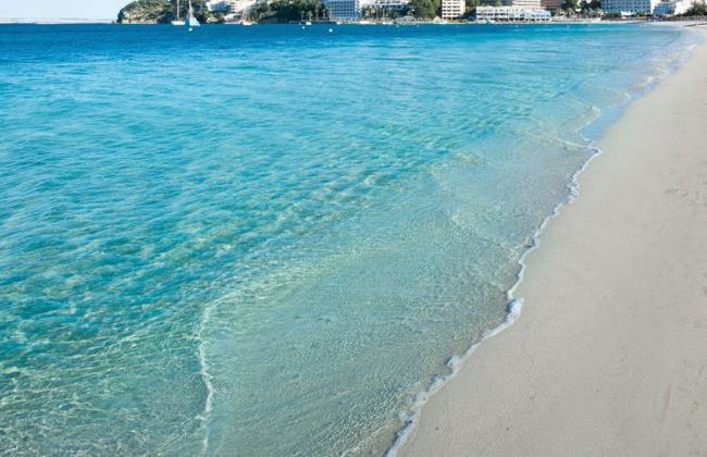 Roc Portonova - Foto 29