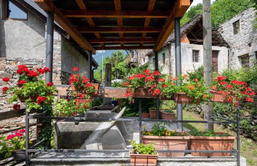 Chalet Il Gianlupo Grigio by Interhome - Foto 54