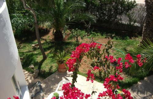 Apartamento Familia Beach - Foto 30