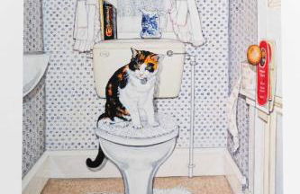 Il gatto Franco - Photo 36