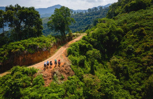 Paseo a caballo por los cafetales de Salgar - Foto 7
