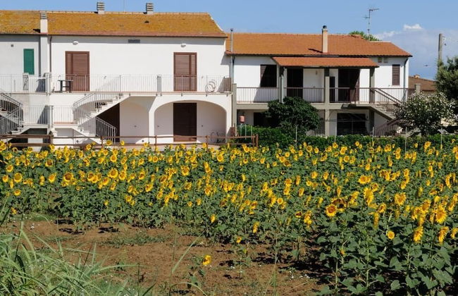 Podere Valle dei Venti - Foto 54