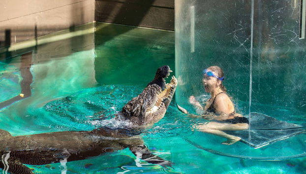 Crocosaurus Cove Ticket - Foto 3