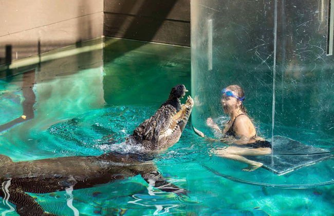 Biglietti per la Crocosaurus Cove - Foto 3