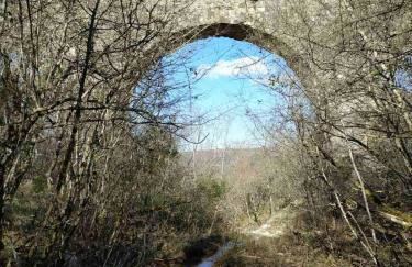 Apartment PARENZANA, little row HOUSE with big green yard in central Istria - Foto 52