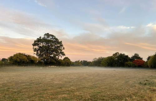 The Old Chapel - Photo 43