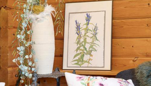 Hüssli Numero 1 - Foto 4