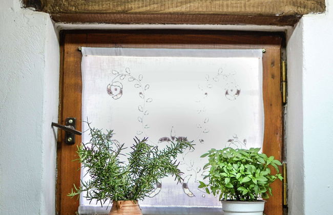 Villa in Crete With Vineyard Experience - Foto 36