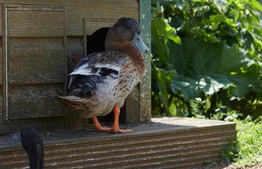 The Grainstore at Moor Farm - Foto 28
