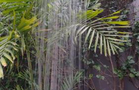 EL 1605 Apartamento inteiro ao lado do metrô by urbanstaybrasil - Foto 24