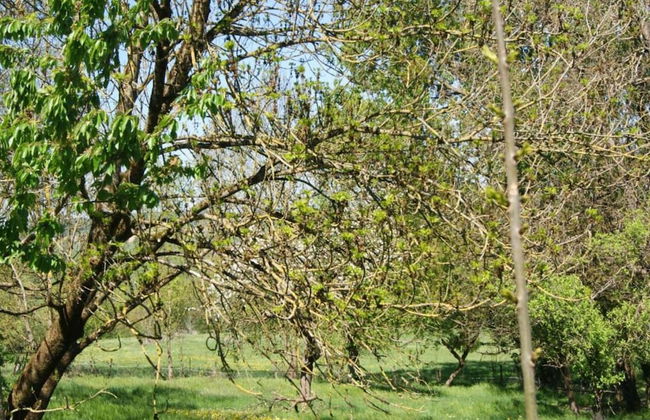 Wintersbourg Spa Retreat - Foto 30