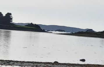 Reposant, Calme, Vue Mer imprenable à 2 m de l'eau, Petit Port Typique Breton - Foto 42