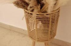 Mariannas tiny paradise - Foto 21