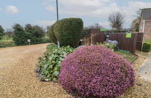 Chantelles - Foto 19